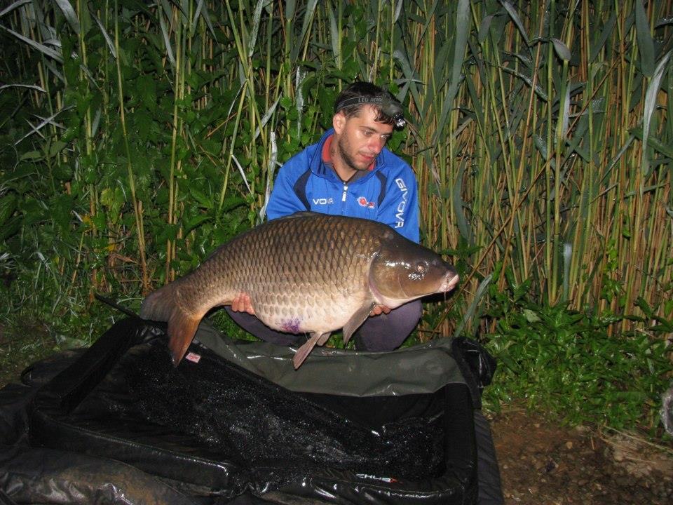 CONCURS LIKE-URI  - VOT PE FACEBOOK  - Dragoi Adrian